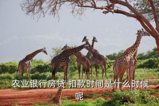 农业银行还贷怎么扣款,昆山农业银行还贷中心地址