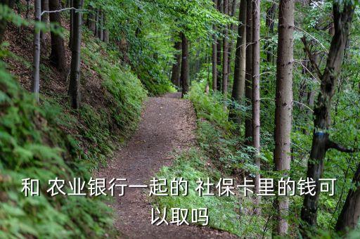 农业银行怎么领社保卡钱