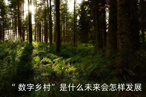 “ 数字乡村”是什么未来会怎样发展