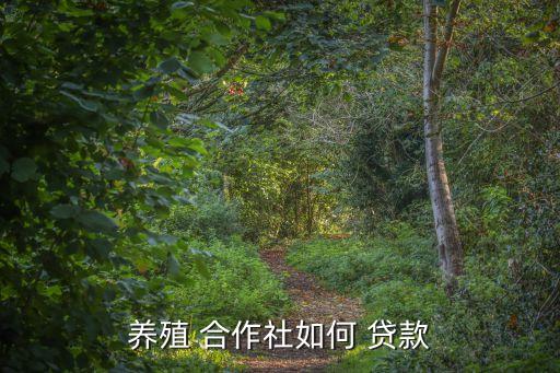 农业种植合作社怎么贷款