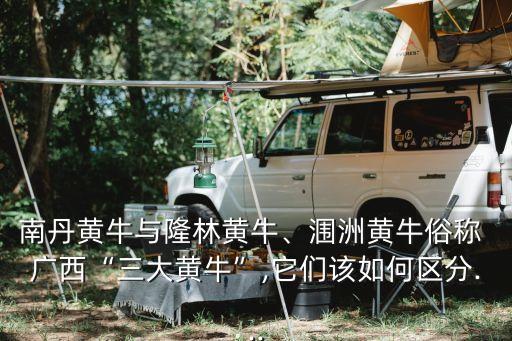 广西汽牛农业怎么样,广西农业职业技术学院怎么样好不好