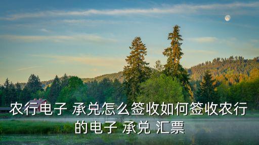 农业银行怎么付承兑汇票