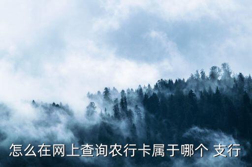 农业银行支行短信怎么查