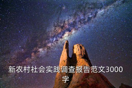 新农村社会实践调查报告范文3000字