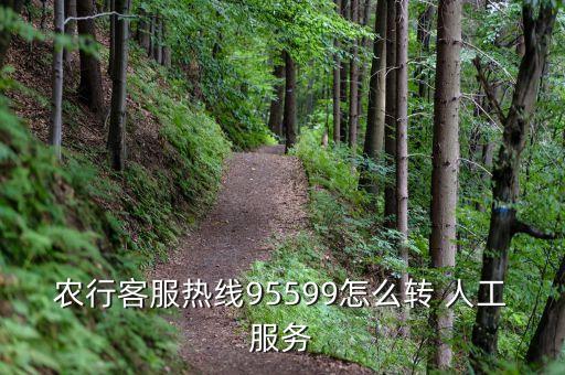 怎么拨打农业银行人工电话,如何拨打农业银行人工服务按键操作
