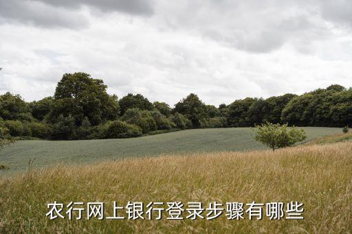 农业银行怎么注册登陆