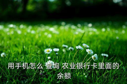 河南农业银行怎么查询余额,农业银行短信查询余额