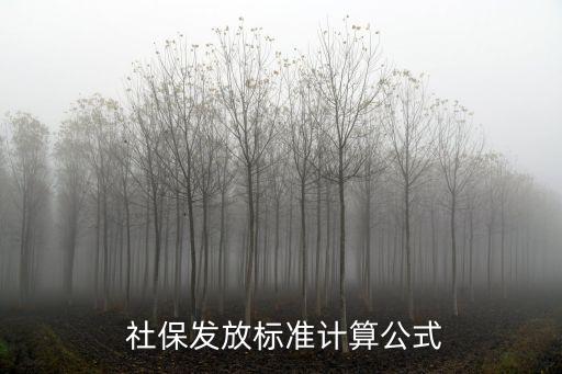 非农业社保工资怎么算,怎么通过社保看工资