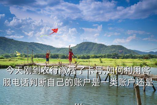怎么查自己农业银行等级,农业银行编号怎么查