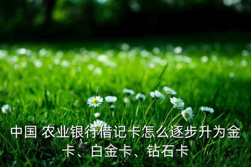 dinkum农业等级怎么升