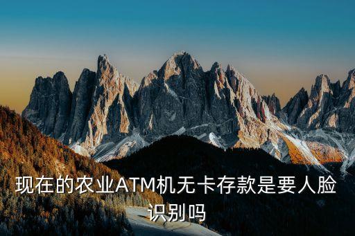 农业银行存钱怎么刷脸验证