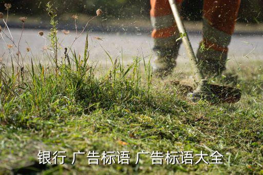 农业银行广告的主题是什么
