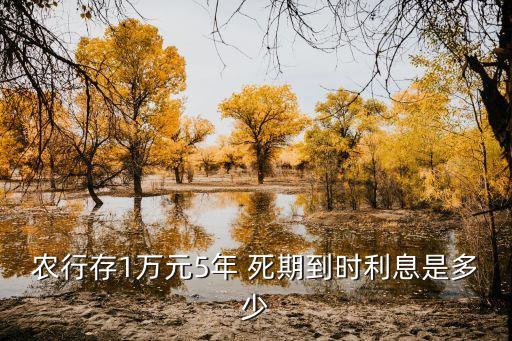 农业银行存死期怎么