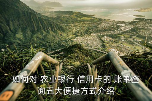农业信用卡手机怎么查账单,农业银行信用卡