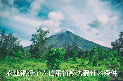农业银行放款额度怎么审核