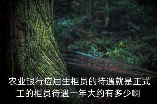信阳农业银行工资怎么样,农业银行的工资流水图片是怎么样的
