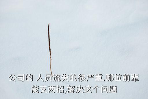 农业企业人员流动大怎么办