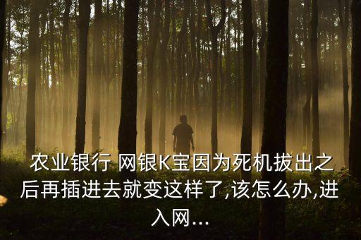 农业银行网银怎么重启
