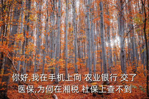 农业银行app交了社保怎么查,手机农业银行怎么交社保