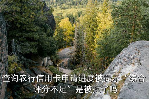 农业银行卡怎么样查评分,怎么查农业银行卡的开户行支行