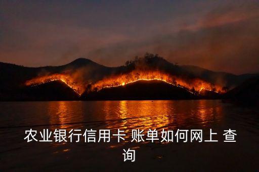 农业银行怎么查询电子账单