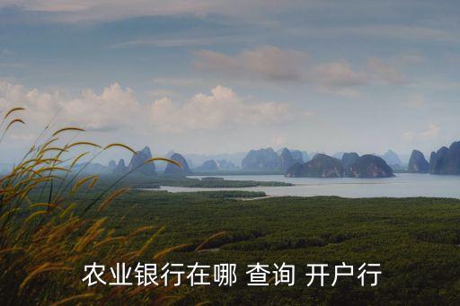 农业怎么查询自己的开户行,公司银行开户流程
