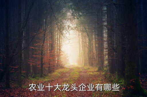 农业什么什么公司,农业为我们提供了什么为工业提供了什么