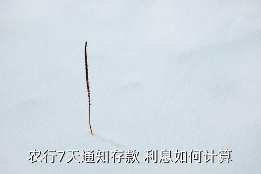 农业银行定活通利息怎么算