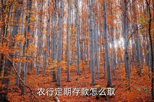 农行定期存款怎么取