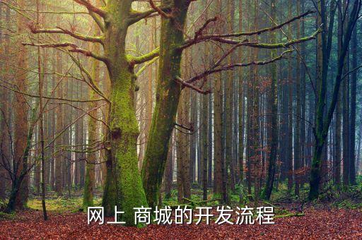 网上 商城的开发流程