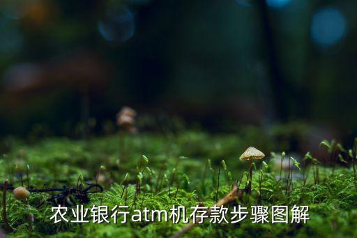 农业银行怎么插卡视频