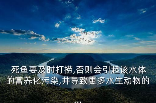 农业养殖场死鱼怎么办