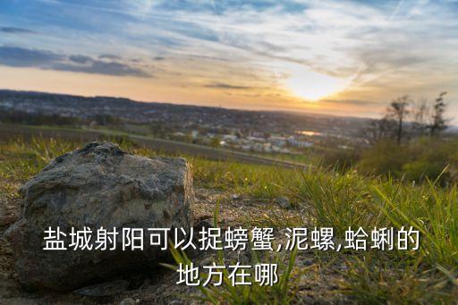 盐城精致农业怎么样,盐城农业科学研究院怎么样