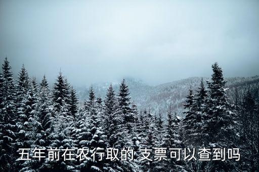 农业银行怎么查询名下支票