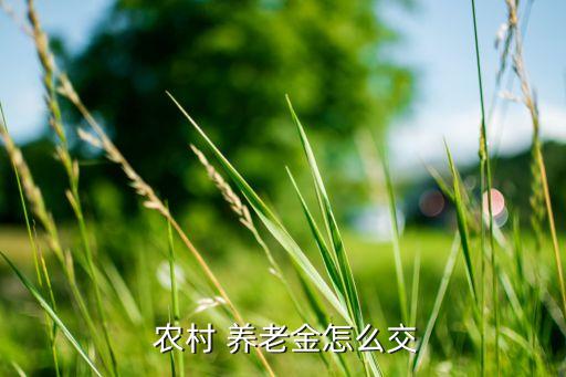 农业农村怎么交养老保险,农业手机银行怎么交养老保险?