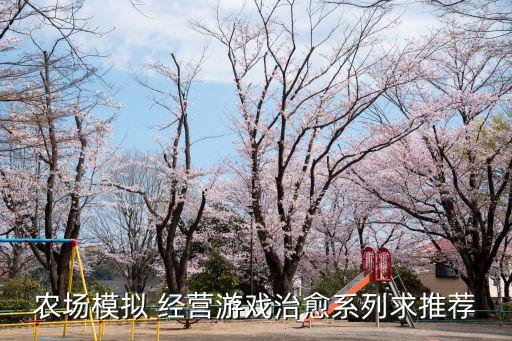农业经营怎么玩的好玩