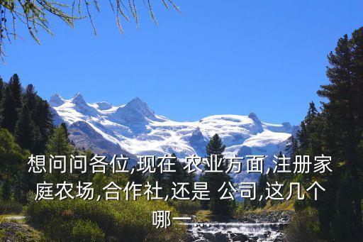 开个农业公司种地怎么样