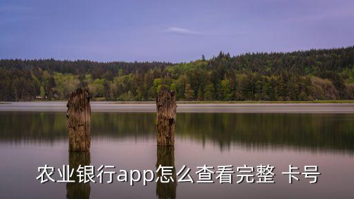 手机怎么查农业行业卡号,怎么看待农业这个行业