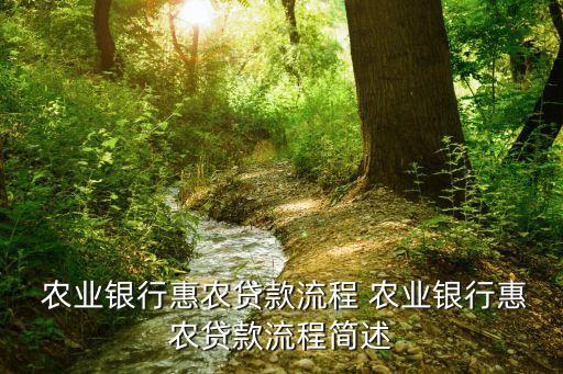 农业银行储备款怎么贷,十八岁农业银行能贷多少款