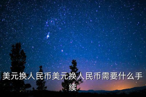 农业银行美金怎么结汇的