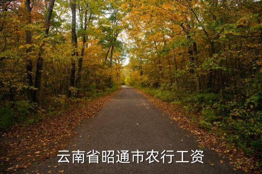 昆明农业银行收入怎么样,在农业银行上班一年有多少收入