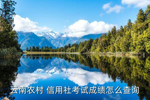 农业信用分怎么查分数,视频号信用分怎么查