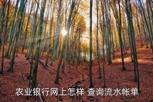 美国农业用水怎么查询余额