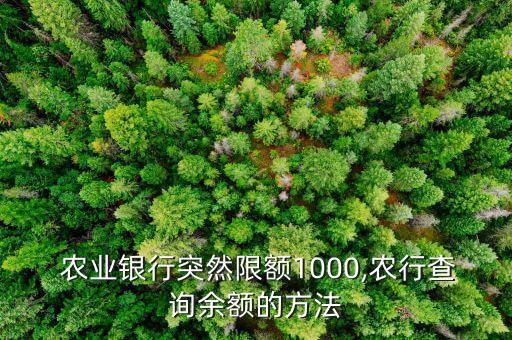 农业银行借记卡支付额度怎么查