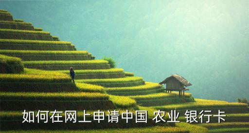 怎么注册农业银行卡,网上注册农业银行卡可以吗