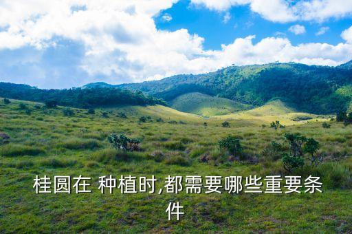 发财农业网桂圆怎么种植