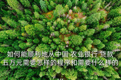 如何能顺利地从中国 农业银行 贷款五万元需要怎样的程序和需要什么样的...