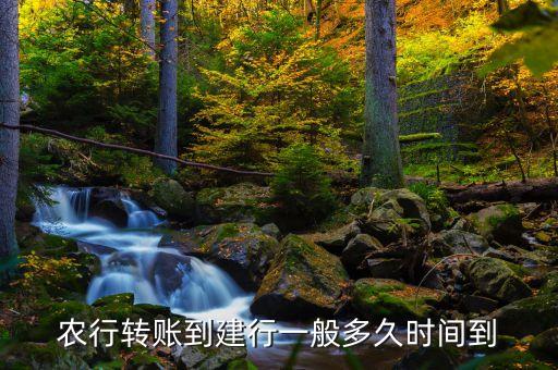 农业转建设银行怎么弄,农业和建设银行哪个利息高
