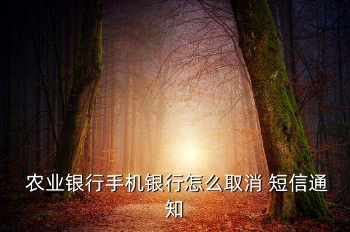 农业银行的卡怎么销账短信