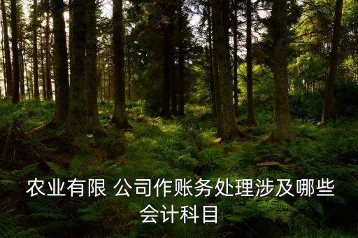 农业小公司成本怎么做账,农业公司的成本有哪些